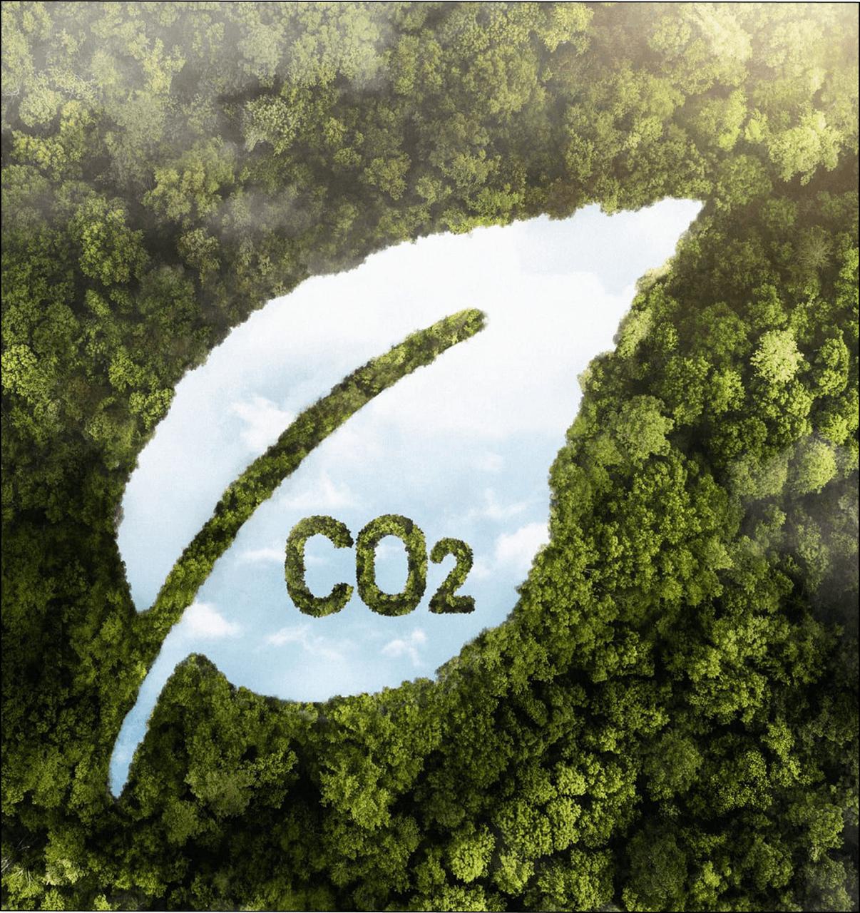 Sürdürülebilirlik ekip çalışması görseli